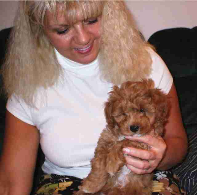 Jane holding a Maltipoo pup